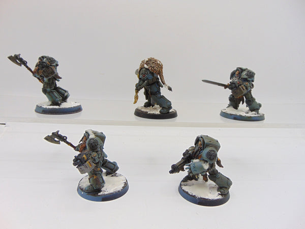 Wolf Guard Terminators
