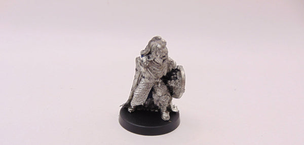 Rohan Royal Guard