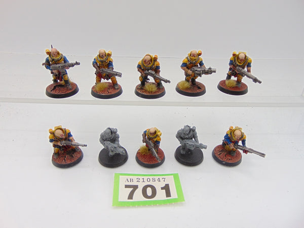 Neophyte Hybrids