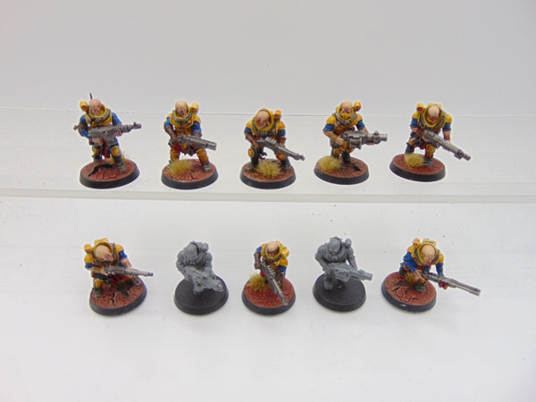 Neophyte Hybrids