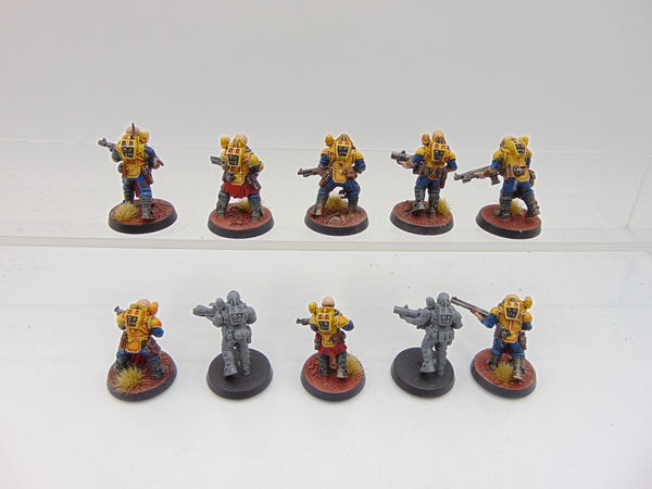 Neophyte Hybrids