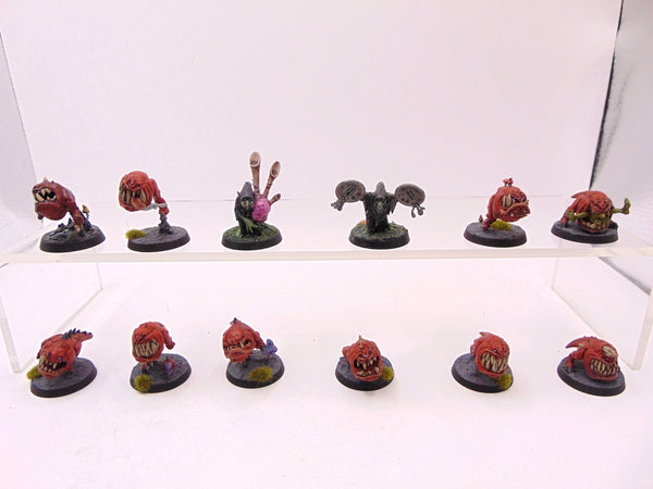 Squig Herd