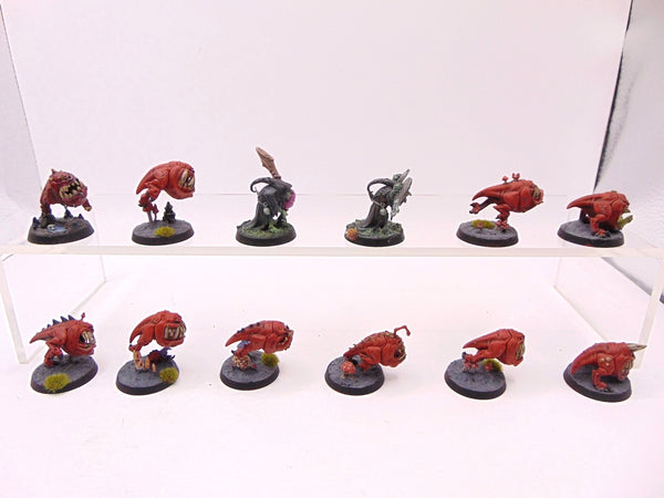 Squig Herd