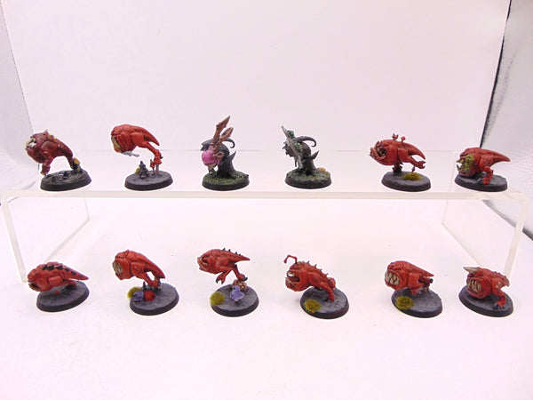 Squig Herd