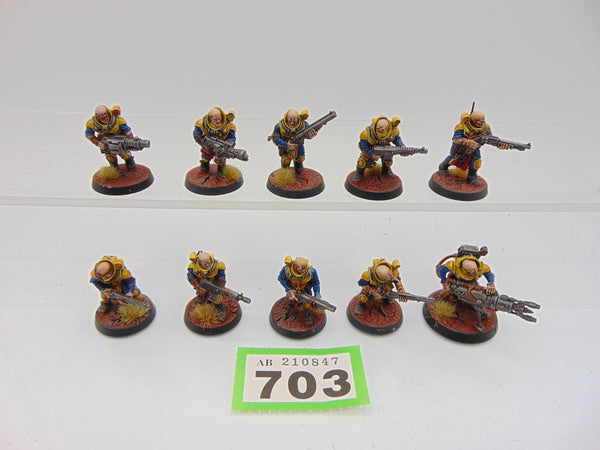 Neophyte Hybrids