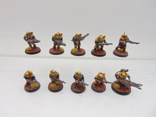 Neophyte Hybrids