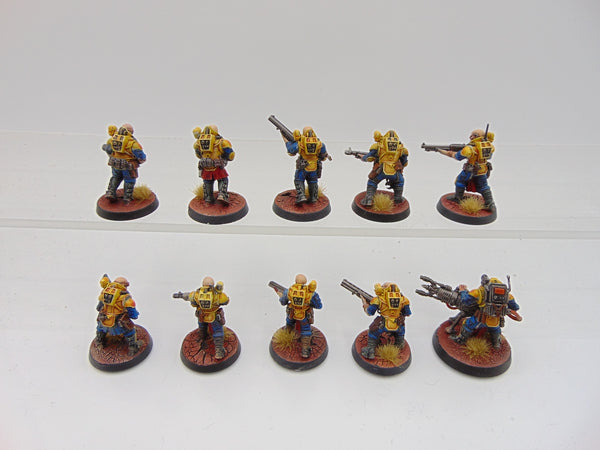 Neophyte Hybrids