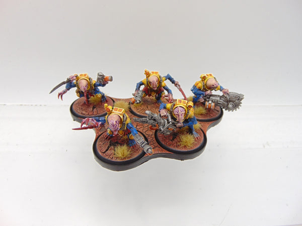 Acolyte Hybrids