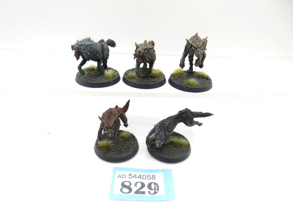 Fenrisian Wolves