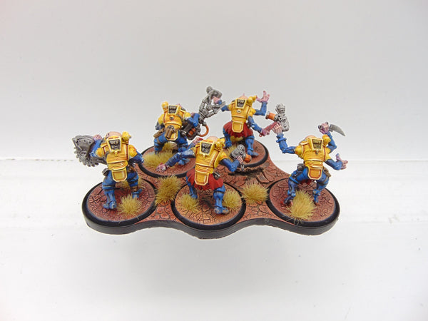 Acolyte Hybrids