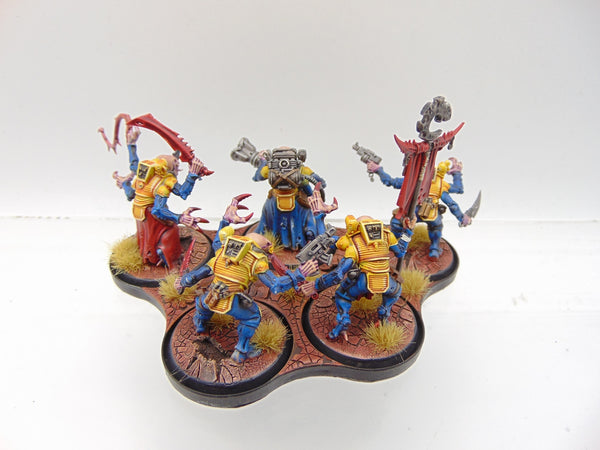 Acolyte Hybrids