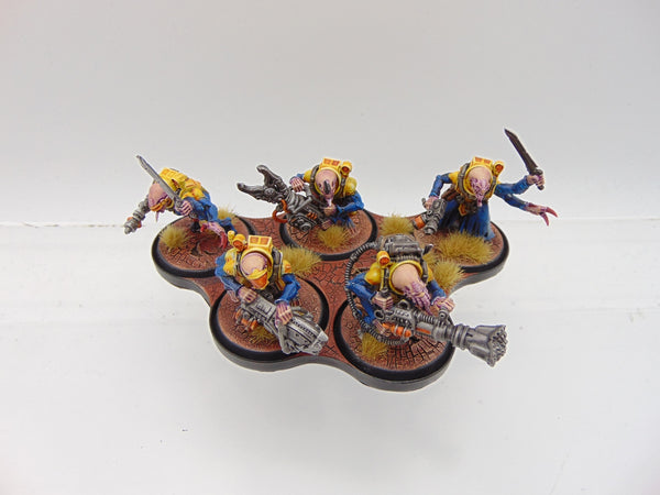 Acolyte Hybrids