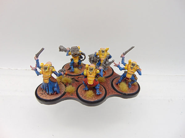 Acolyte Hybrids