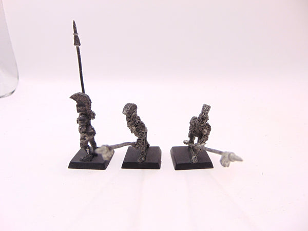 Alcatani Fellowship Pikemen