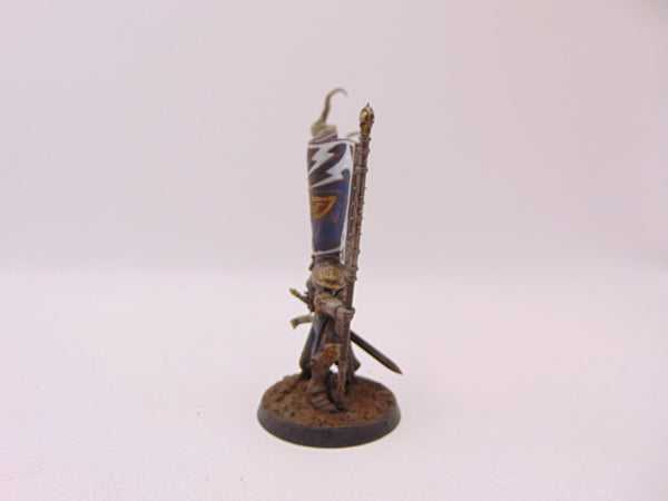 Knight Vexillor with Banner of Apotheosis
