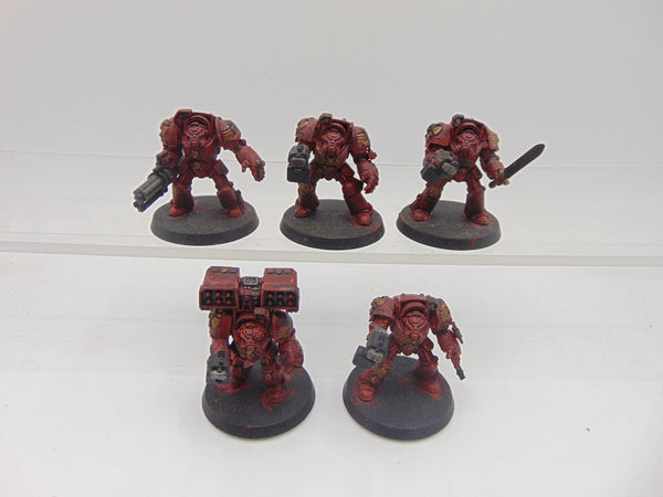 Terminator Squad