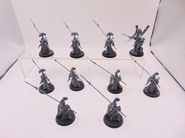 Vanari Auralan Wardens