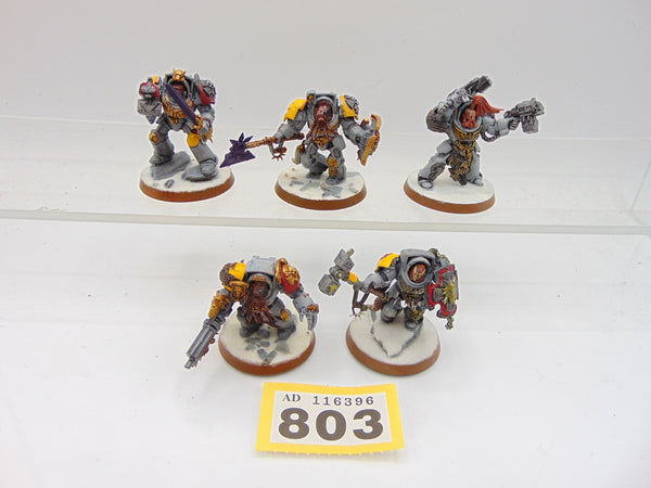 Wolf Guard Terminators