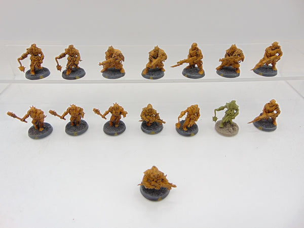 Chaos Cultists