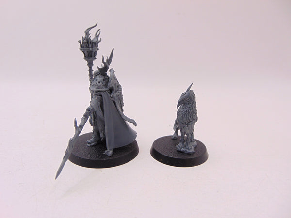 Lord Veritant with Gryph Crow