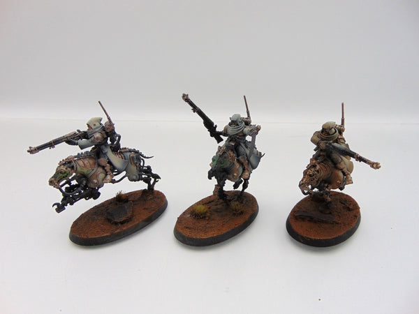 Serberys Raiders