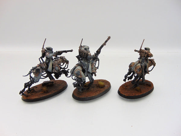 Serberys Raiders