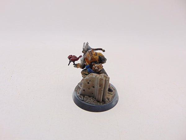 Darkstrider