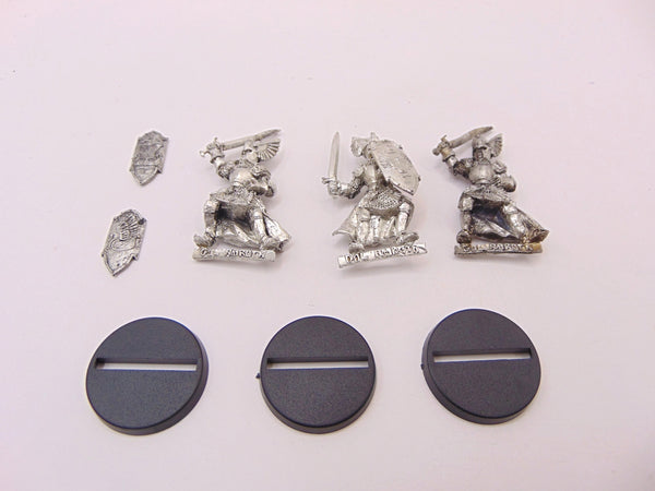Swan Knights of Dol Amroth