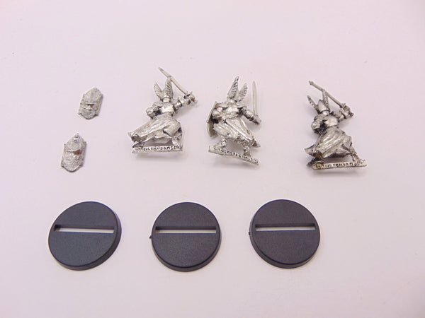 Swan Knights of Dol Amroth