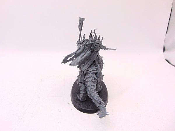 Chaos Lord on Karkadrak