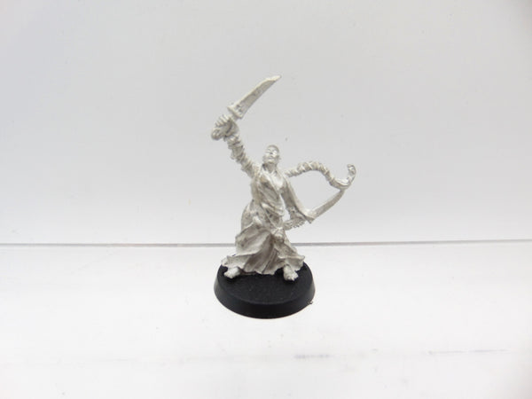 Sigmarite Augur
