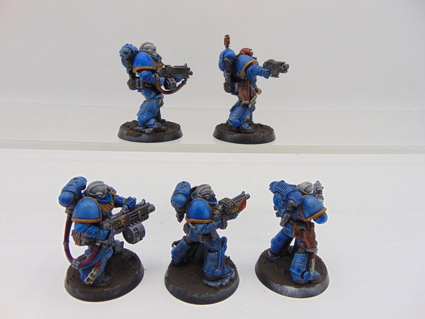Sternguard Veterans