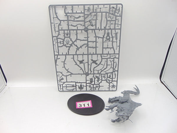 Skink Oracle on Troglodon