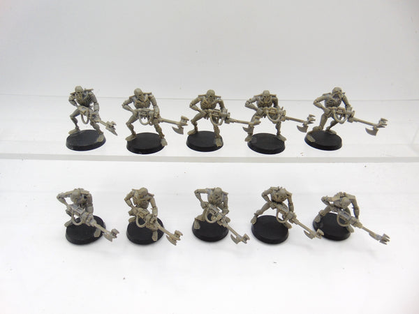 Necron Warriors