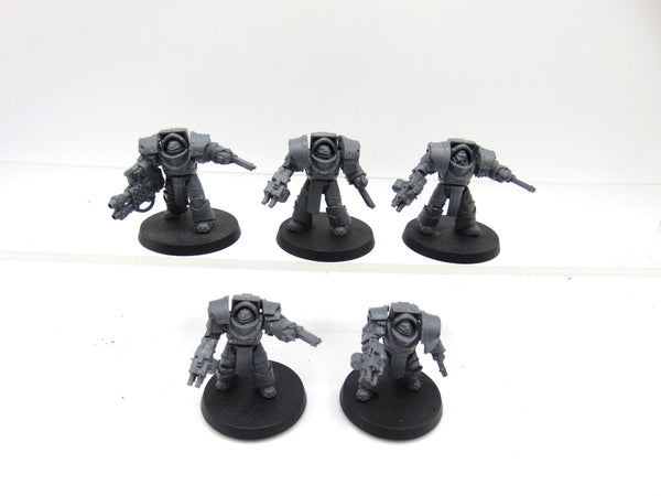 Cataphractii Terminator Squad