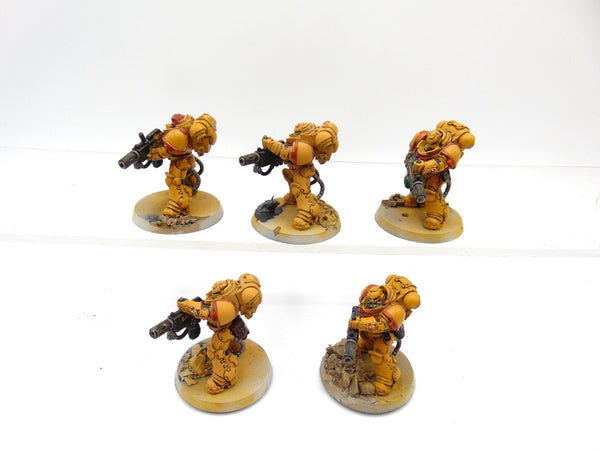 Eradicators