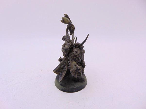 Plague Marine Champion