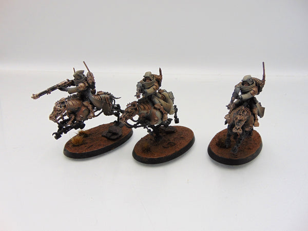 Serberys Raiders