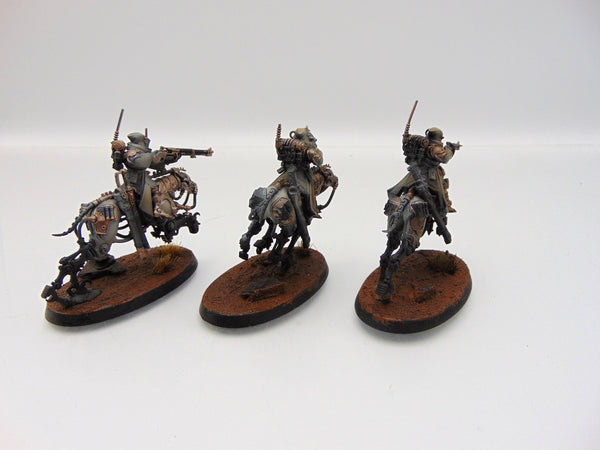 Serberys Raiders