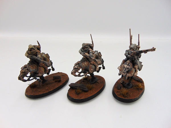 Serberys Raiders