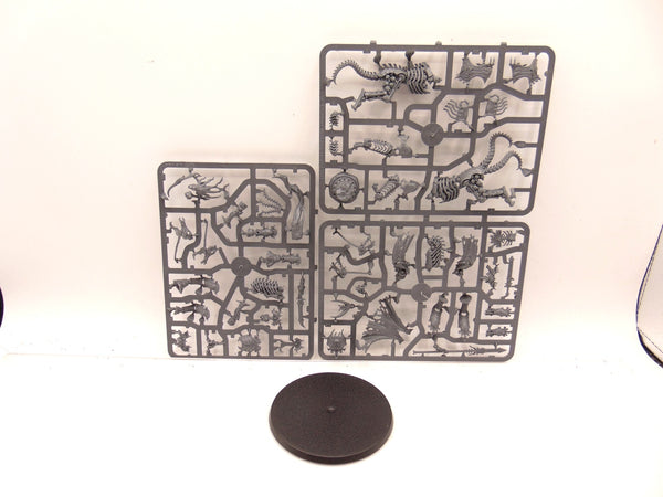 Arch-Kavalos Zandtos / Liege Kavalos