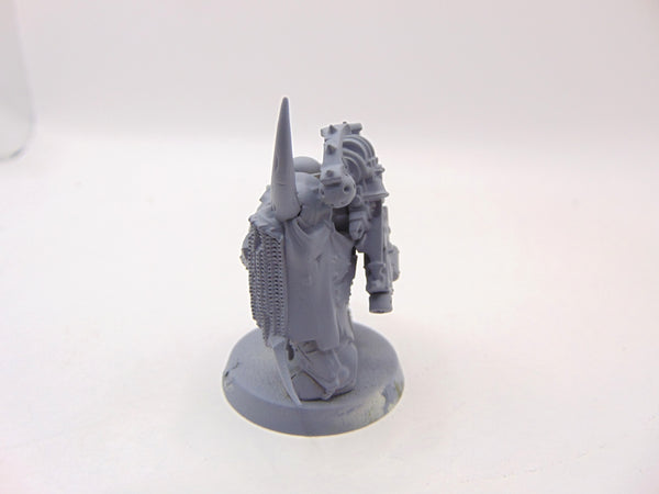 Plague Marine Champion