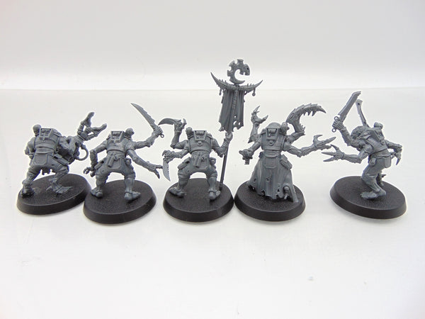 Acolyte Hybrids