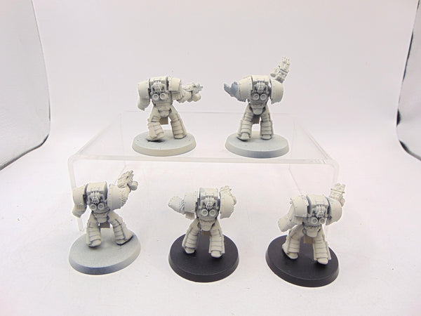 Cataphractii Terminator Squad