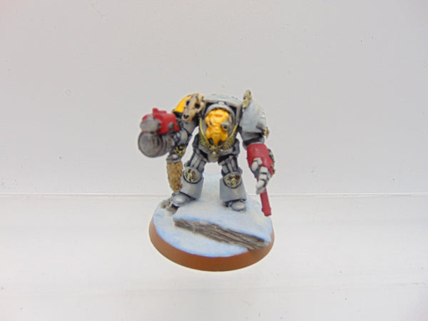 Space Wolf Terminator