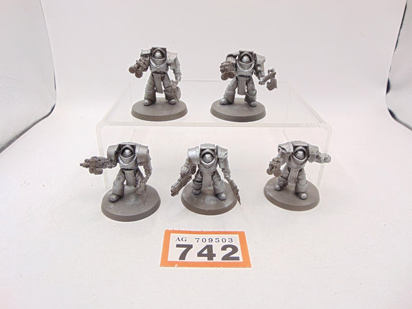 Cataphractii Terminator Squad