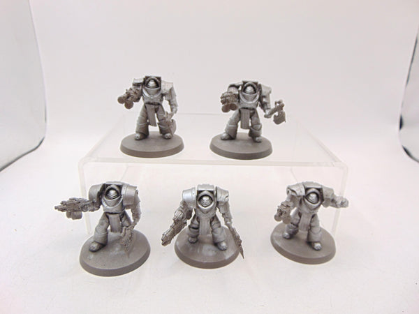 Cataphractii Terminator Squad