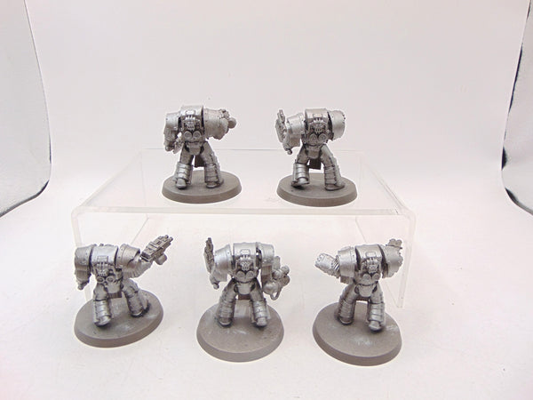 Cataphractii Terminator Squad
