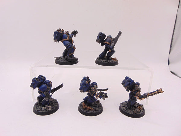 Night Raptors Conversion