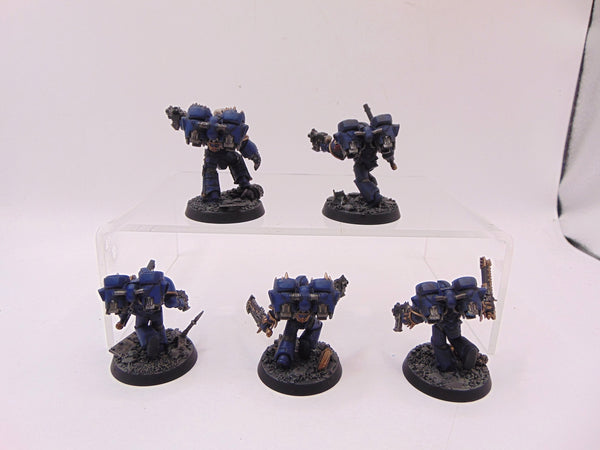Night Raptors Conversion